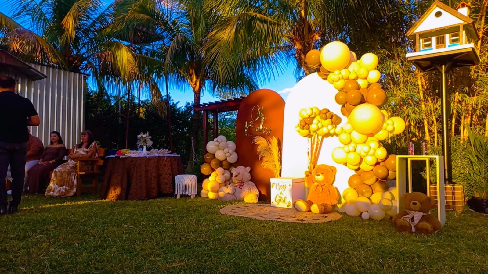 Revelación de Género